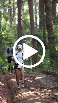 BIB:  <button type="button" onclick="openModal(26569763)" class="btn btn-primary btn-sm float-right" data-toggle="modal" data-target=".modal-high-quality">
                <i class="fa fa-download"></i> Download
                </button>